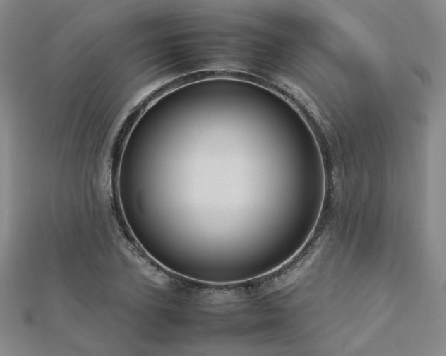 X0000112770931200908201504