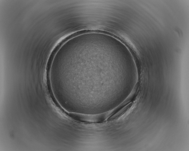 X0000112770932200908201504