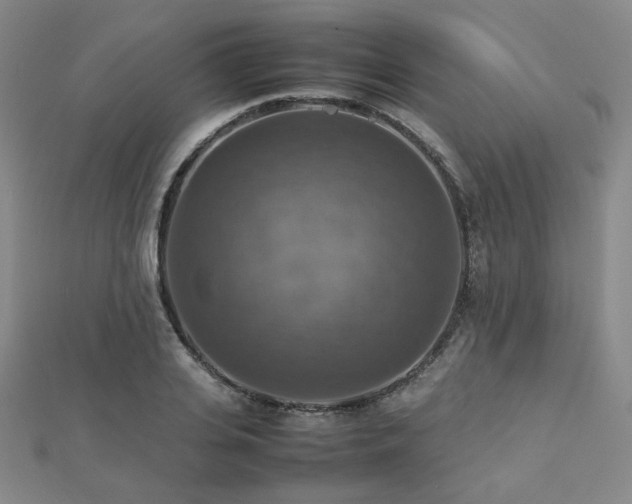 X0000112770935200908201504