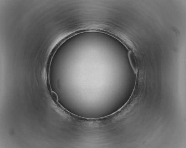 X0000112770936200908201504