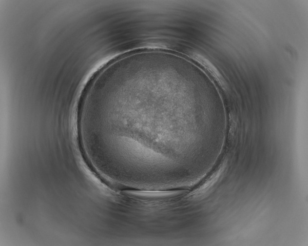 X0000112770939200908201504