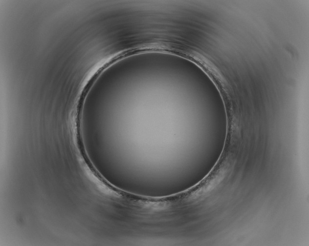 X0000112770941200908201504