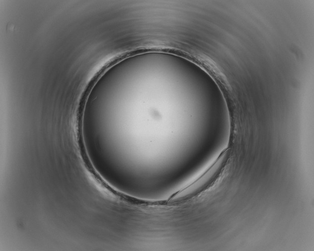 X0000112770942200908201504