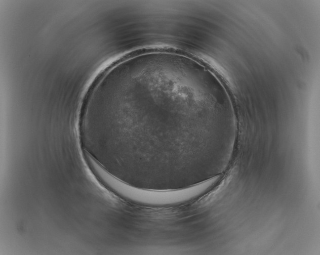 X0000112770943200908201504