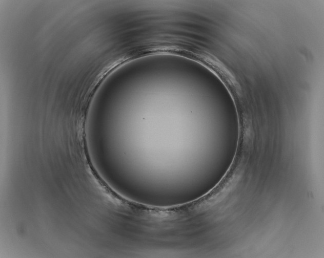 X0000112770945200908201504