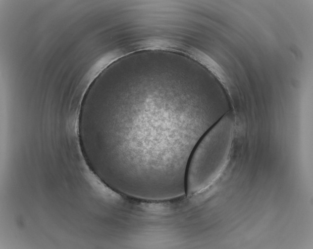 X0000112770946200908201504