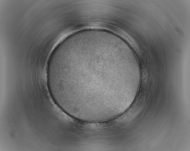 X0000112770950200908201504