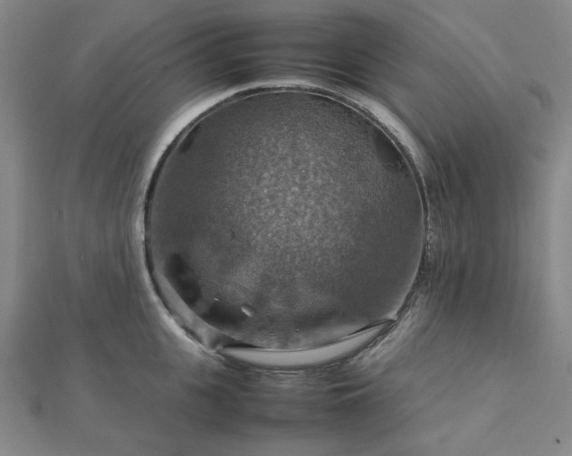 X0000112770951200908201504