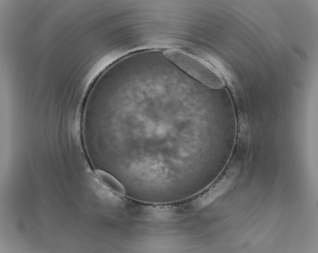 X0000112770952200908201504