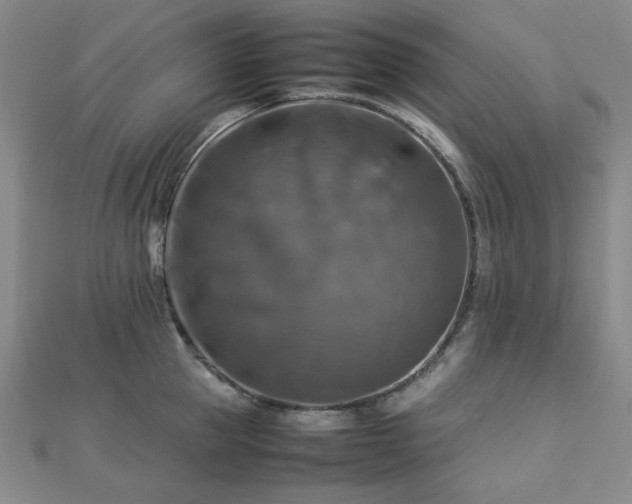 X0000112770953200908201504