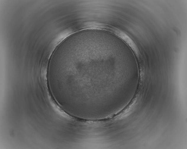 X0000112770954200908201504