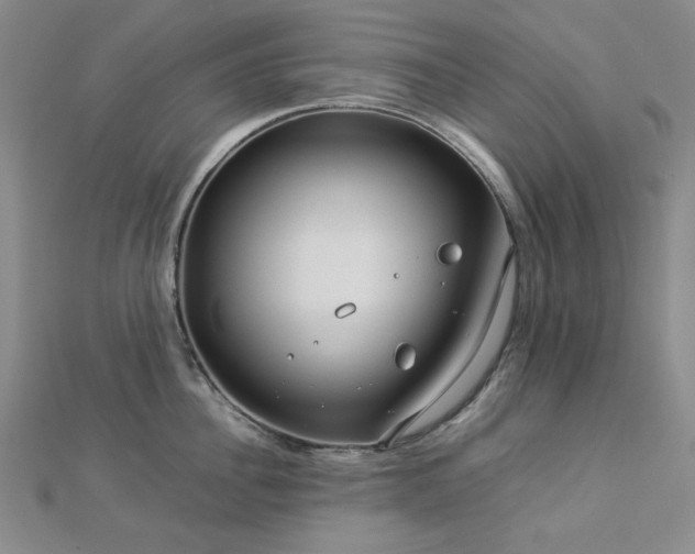X0000112770956200908201504