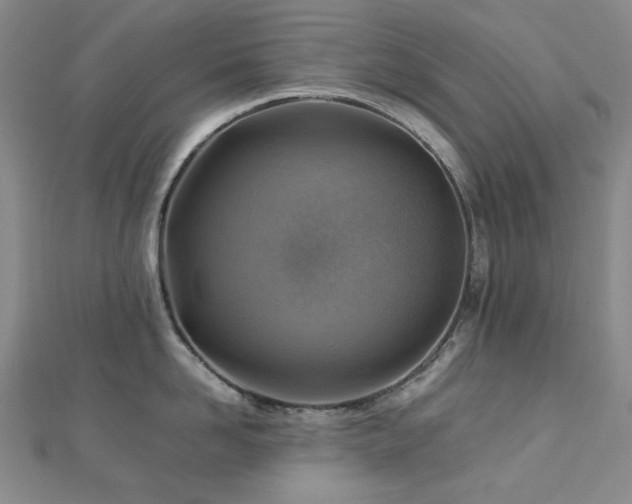 X0000112770958200908201504