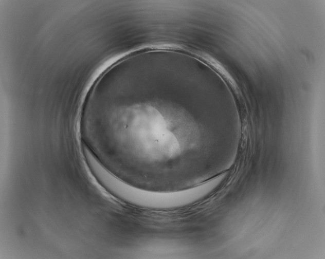 X0000112770959200908201504