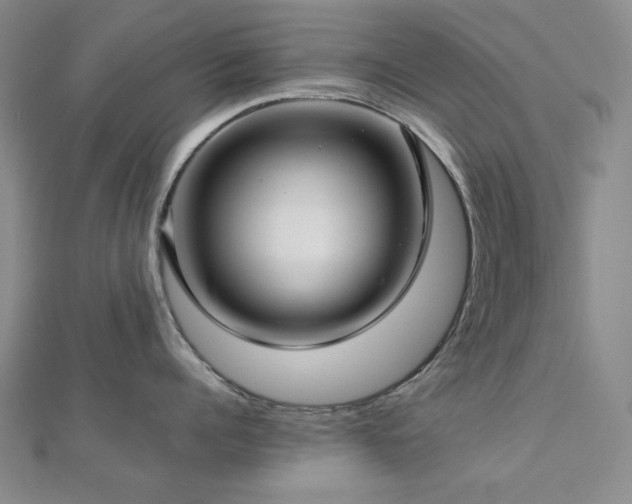 X0000112770960200908201504