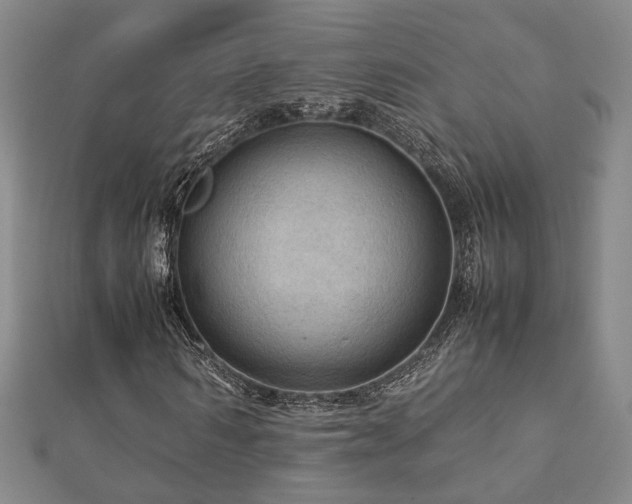 X0000112770962200908201503