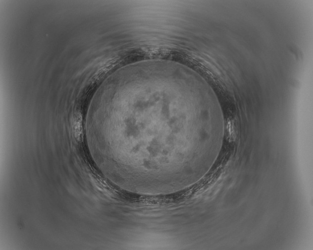 X0000112770963200908201503