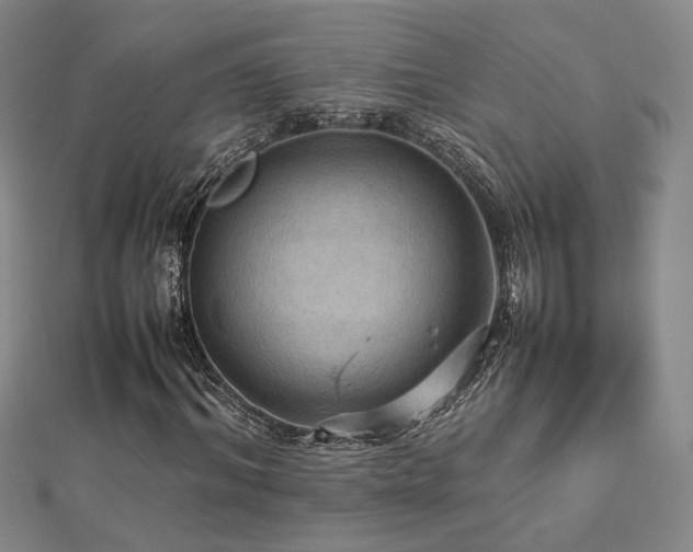 X0000112770964200908201503