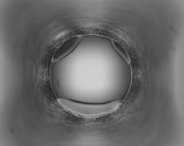 X0000112770965200908201503