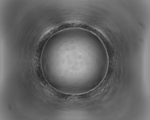 X0000112770967200908201503