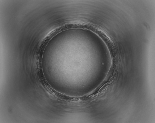 X0000112770968200908201503