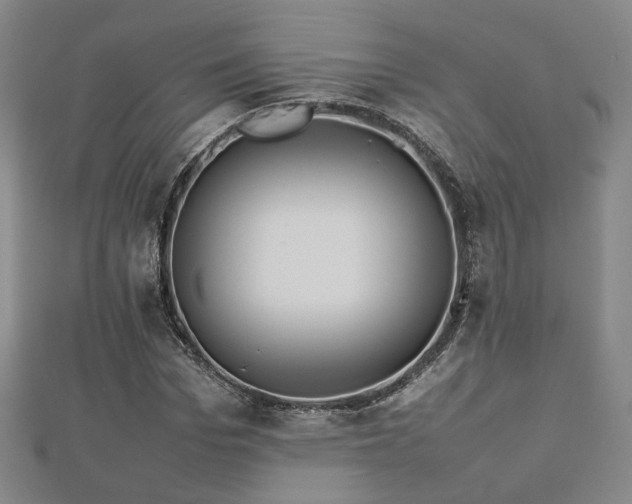 X0000112770969200908201503