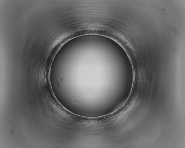 X0000112770970200908201503