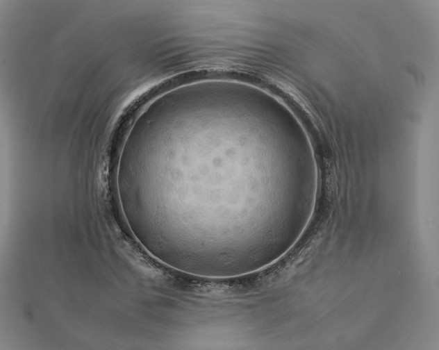X0000112770971200908201503