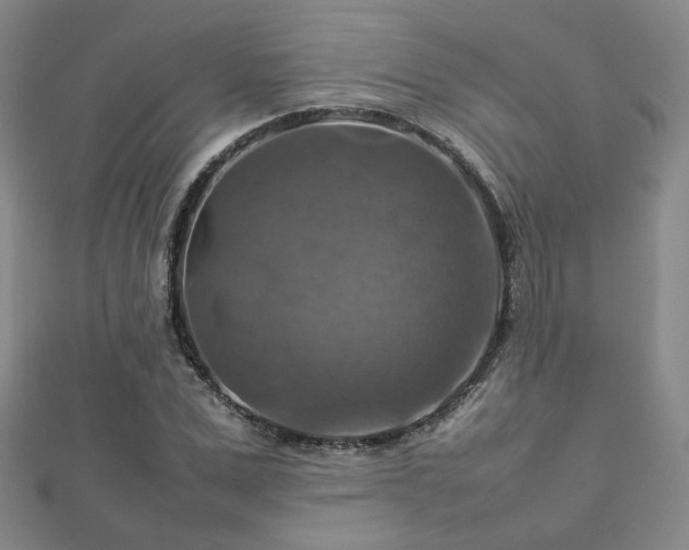X0000112770975200908201503