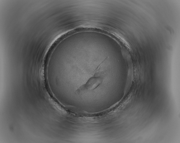X0000112770976200908201503