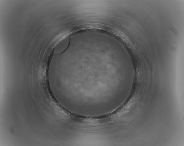 X0000112770977200908201503