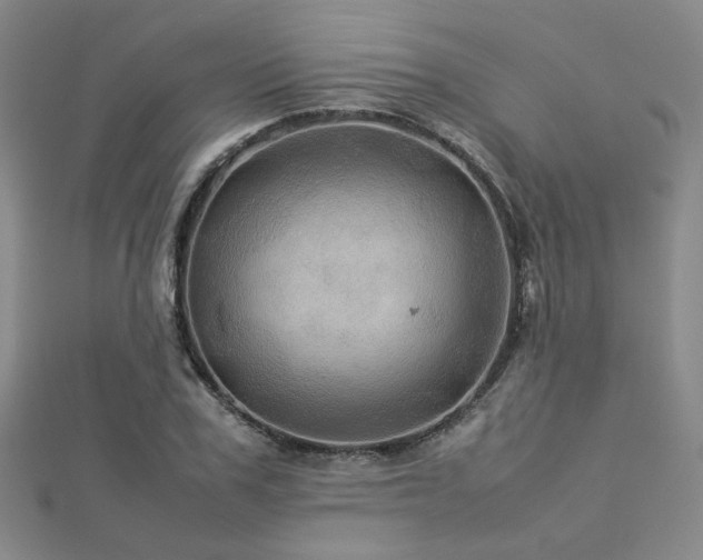 X0000112770979200908201503