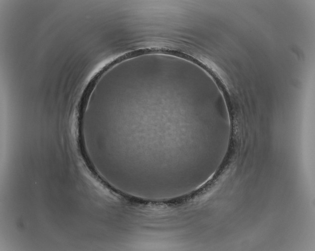 X0000112770983200908201503