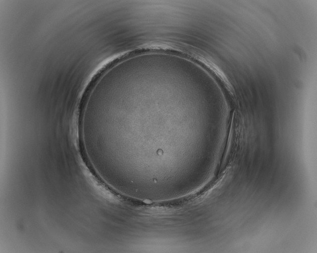 X0000112770984200908201503