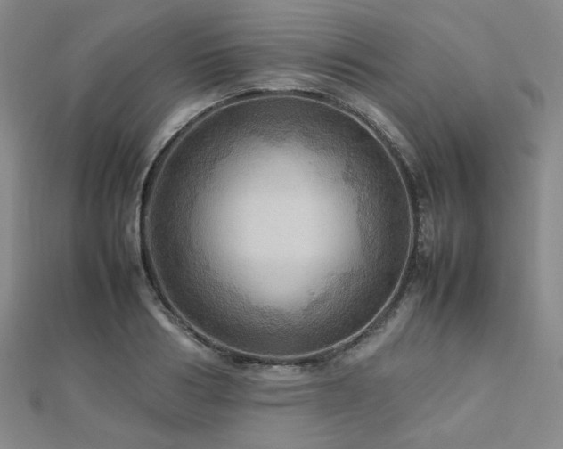 X0000112770986200908201503
