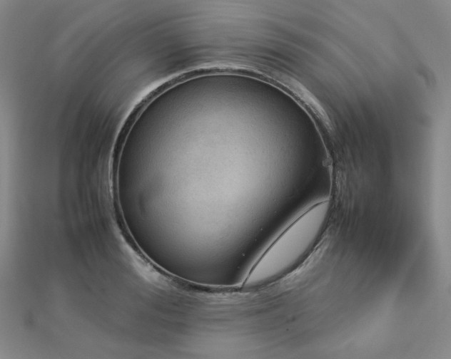 X0000112770988200908201503