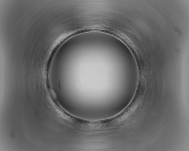 X0000112770989200908201503