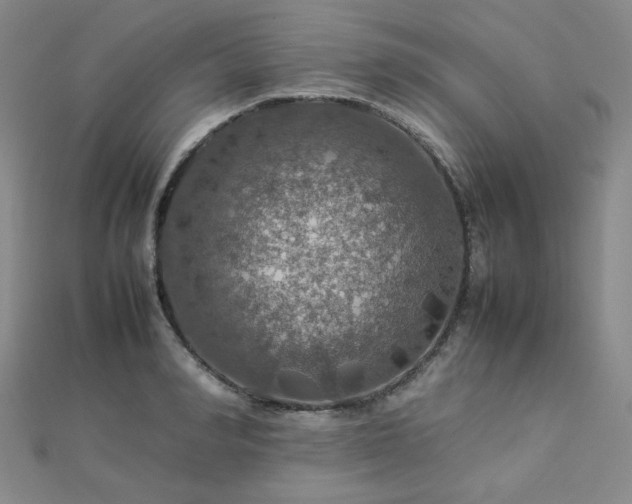X0000112770990200908201503