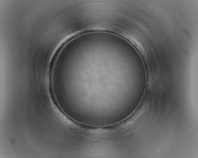 X0000112770992200908201503