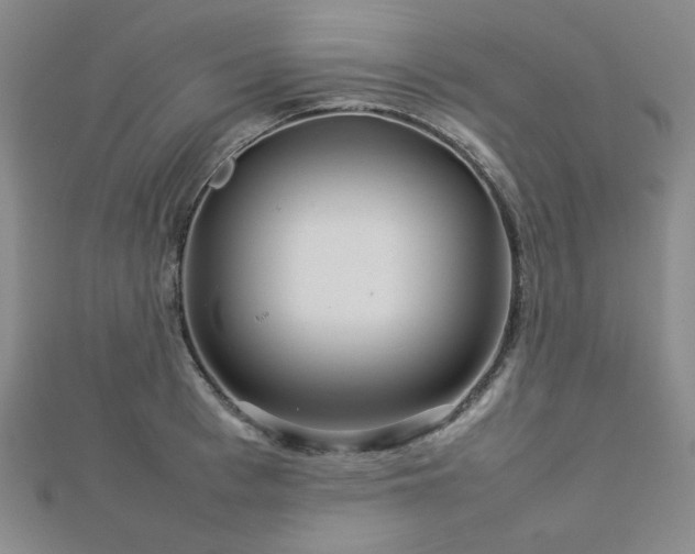 X0000112770993200908201503