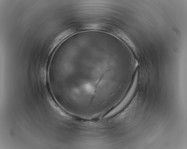 X0000112770994200908201503