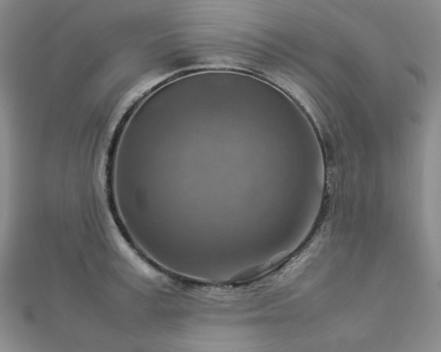 X0000112770995200908201503