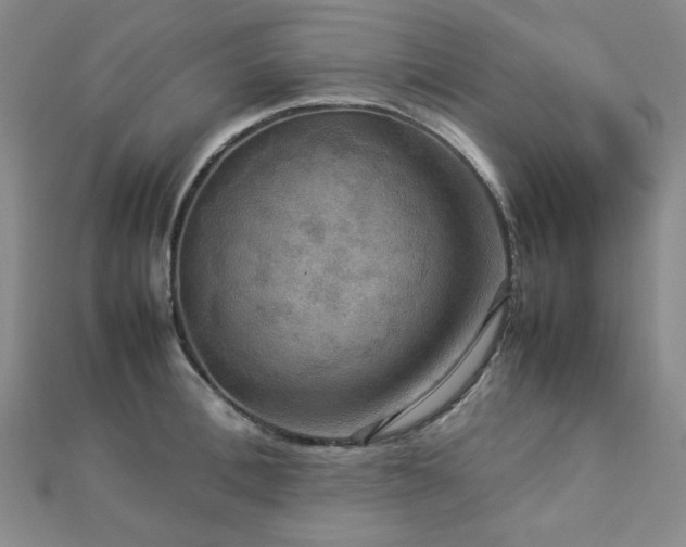 X0000112770996200908201503