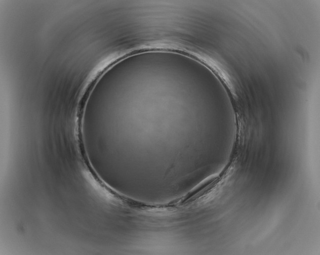 X0000112770998200908201503