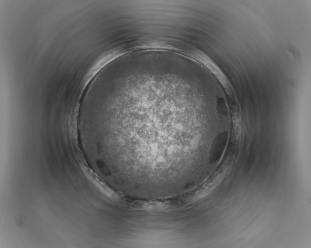 X0000112771002200908201503