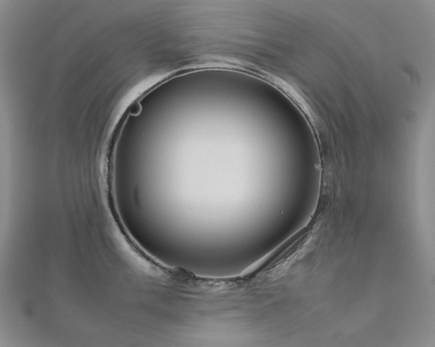 X0000112771003200908201503