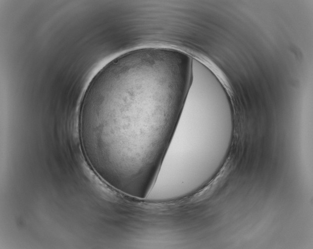 X0000112771004200908201503