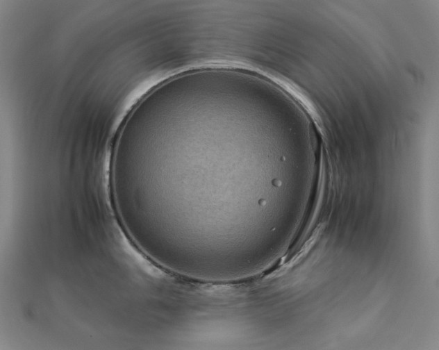 X0000112771006200908201503