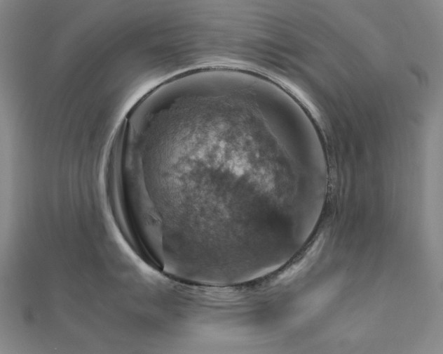 X0000112771007200908201503