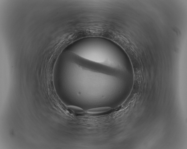X0000112771009200908201502